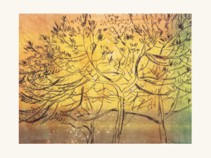 A World Looking To Become Possible