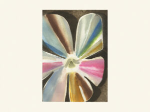 A Pansy Jasmine Broke My Heart