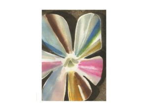 A Pansy Jasmine Broke My Heart