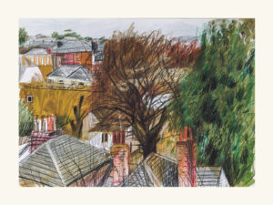 View Over Canterbury