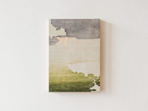 Saltmarsh
