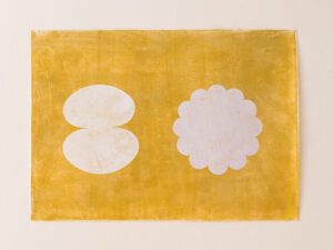 Flower and Seed