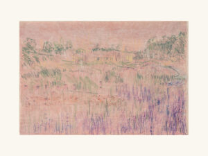 Piet's Field II