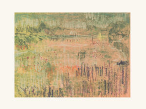 Piet's Field (Colour Dance)